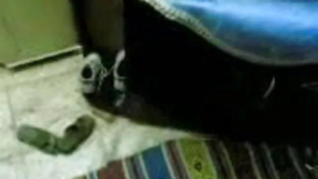 স্বামী বাংলা চুদাচুদি xxx ও স্ত্রী