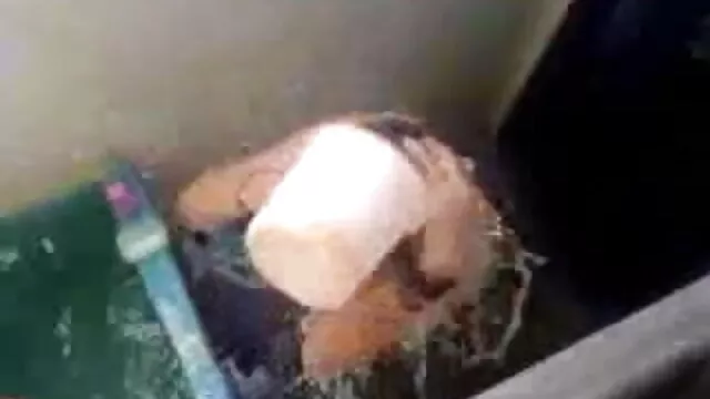 মেয়ে সমকামী, সুন্দরী বালিকা চুদা চুদি vedio