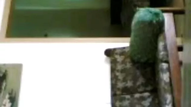 মুখের ভিতরের, স্বামী xxxx বাংলা ভিডিও ও স্ত্রী