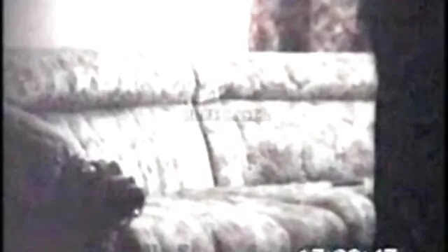 বাঁড়ার রস খাবার বাংলা চুদাচুদি x