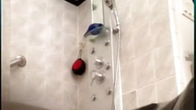 বাঁড়ার রস video বাংলাxxx খাবার