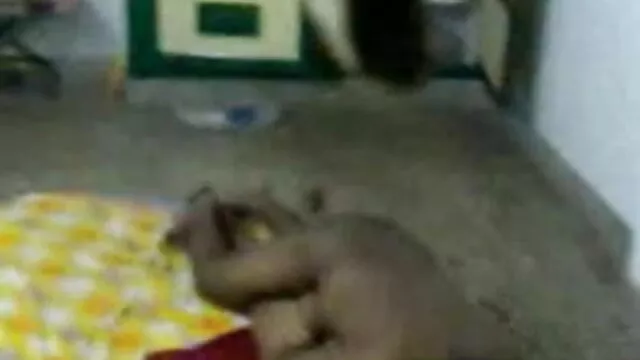 বড়ো মাই, সুন্দরি বাংলা video xxxx সেক্সি মহিলার