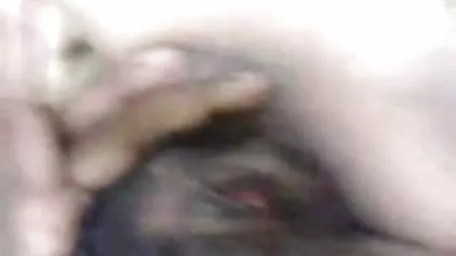 মহিলার দ্বারা বাংলা 3x ভিডিও