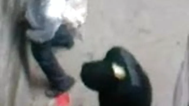 স্বামী ও বাংলা এক্সক্স ভিদেও স্ত্রী,