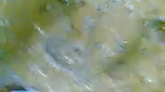 মেয়ে সমকামী বাংলা নাইকার চুদাচুদি