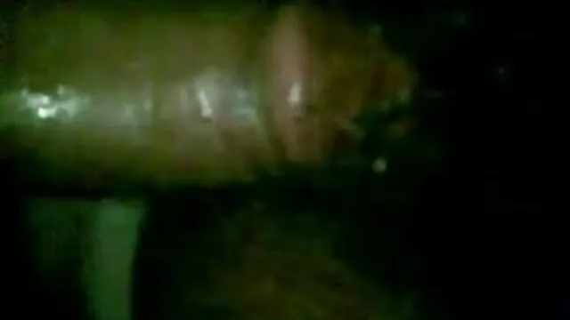 বড়ো বুকের মেয়ের বাংলা চোদাচুদি xxx