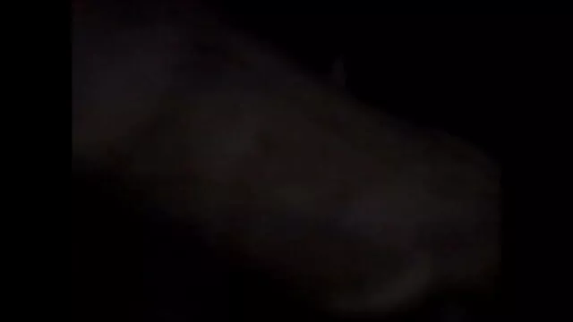 মেয়েরা গেম সঙ্গে বাংলা ভিডিও xxxx অশ্লীল রচনা