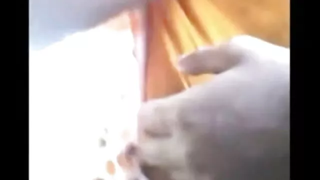 ছাত্রী, দুর্দশা, বাংলা চুদাচুদি ভিডিও xxx পার্টি,