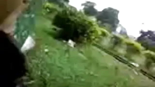 অপেশাদার, স্বামী বাংলা video xxx com ও স্ত্রী,