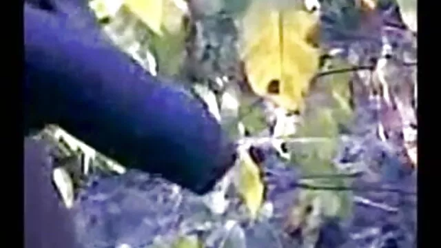 এবং টেলিফোটো প্রান্ত থেকে, বাংলা xxx video com