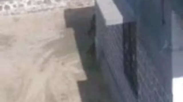 বাঁড়ার বাংলা sxe video রস খাবার