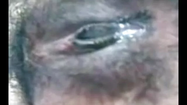 মেয়ে সমকামী বাংলা xxx video com