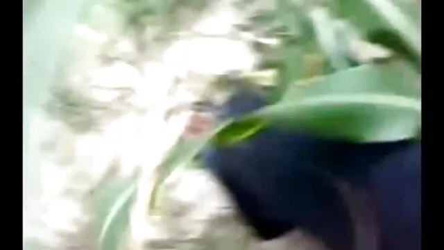 বাঁড়ার রস খাবার পোঁদ সুন্দরি বাংলা চুদা চুদি sex সেক্সি মহিলার