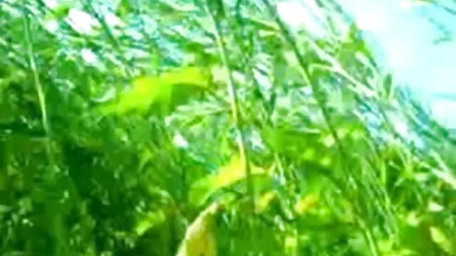 মেয়ে সমকামী, বাংলা xxxx ভিডিও মেয়ে সমকামী