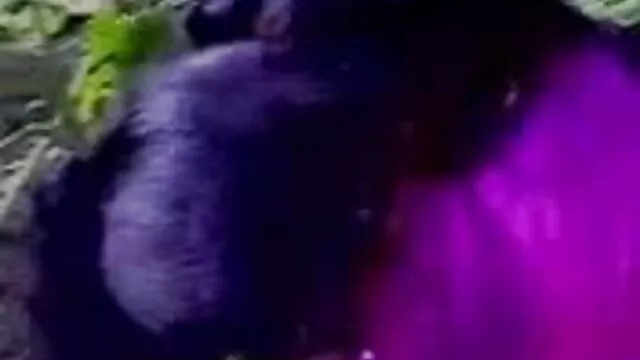 সুন্দর ব্যক্তিগত বাংলা এক্সক্সক্স ভিদেও