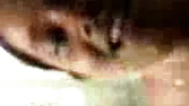 বালিকা, স্কুল, বাংলা এক্সক্স video স্কুল