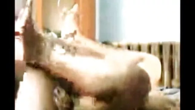 প্রশ্নটি বাদ বাংলা video xxx com দিন