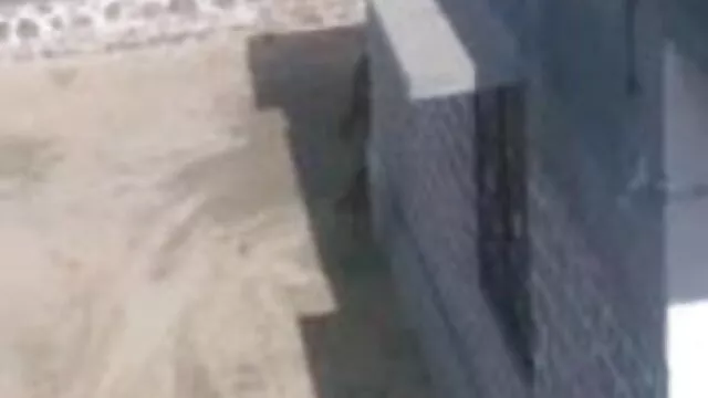 পরিণত, বাংলা xxxভিডিও দুর্দশা, দুর্দশা, দুর্দশা