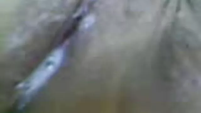 প্রাপ্তবয়স্কদের জন্য অ্যানিমেটেড চলচ্চিত্র বাংলা ভিডিও এক্সক্সক্স