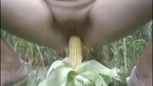 মেয়ে সমকামী বাংলা xx বিডিও