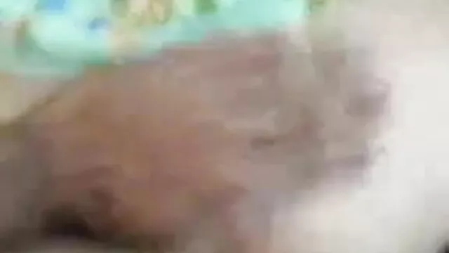 বাড়ীতে তৈরি জার্মান বাংলা সেকছ বিডিও